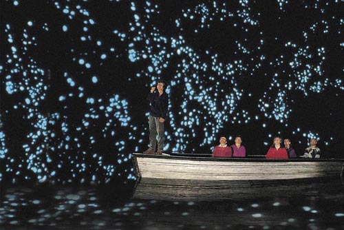 Hang Waitomo Glowworm,Hang động đom đóm,Du lịch New Zealand