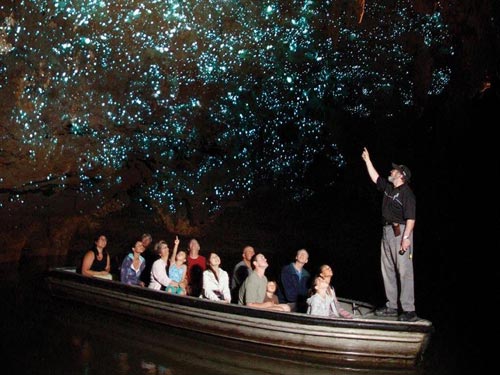 Hang Waitomo Glowworm,Hang động đom đóm,Du lịch New Zealand