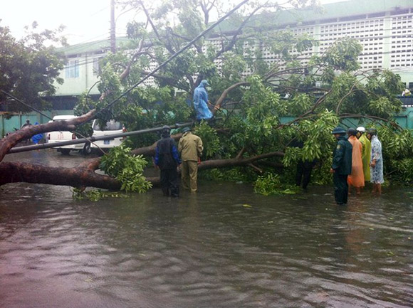 Bão số 11,Bão Nari,Sức tàn phá của bão nari