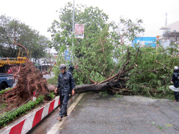 Bão số 11,Bão Nari,Sức tàn phá của bão nari