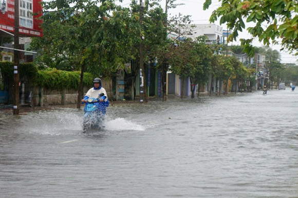 Bão số 11,Bão Nari,Sức tàn phá của bão nari
