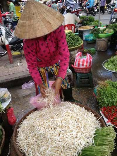 Giá đỗ,tác dụng của giá đỗ,