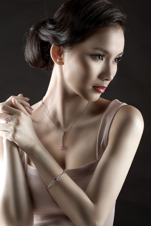 Hồ Ngọc Hà,Hoa hậu Thùy Lâm,Lý Nhã Kỳ,Jennifer Phạm,mỹ nhân việt