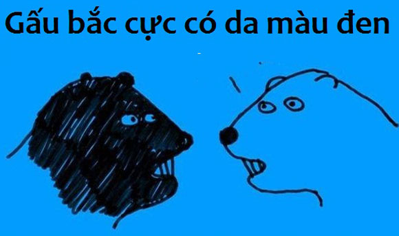 sự thật,fun facts