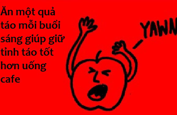 sự thật,fun facts