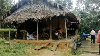 Yêu râu xanh,Cưỡng hiếp,Hiếp dâm trẻ em,Hiếp dâm em họ