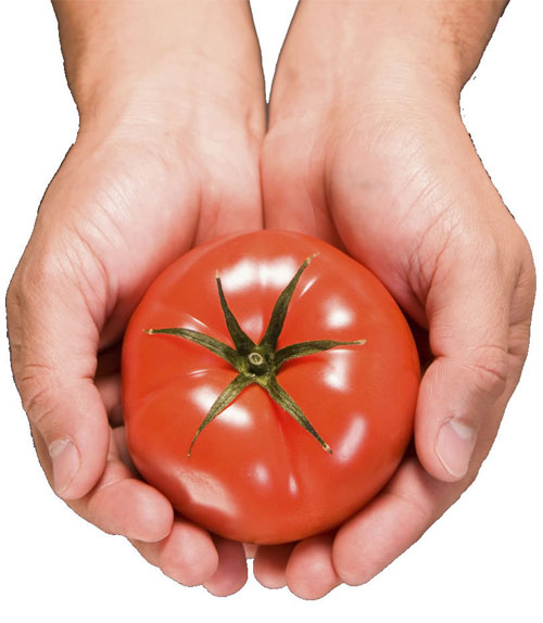 Chăm sóc da,Làm đẹp da,Làm đẹp bằng cà chua