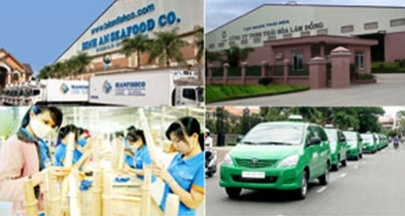 Bianfishco,Tập đoàn Mai Linh,Doanh nghiệp phá sản