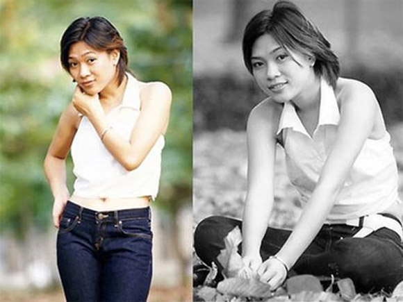 Mỹ Tâm, Họa mi tóc nâu,Ca sĩ Mỹ Tâm