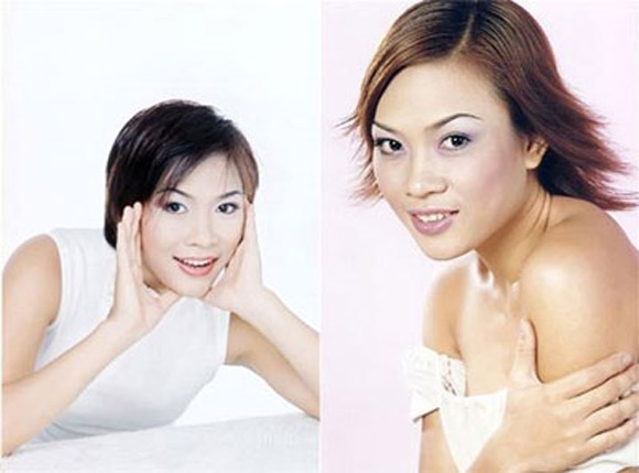Mỹ Tâm, Họa mi tóc nâu,Ca sĩ Mỹ Tâm