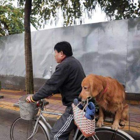 ảnh vui,ảnh chế,hài hước,ảnh tếu,ảnh hài hước