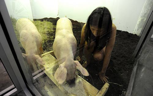 Chuyện lạ 4 phương,Chuyện lạ thế giới,Phi thường,Chuyện lạ có thật,Chuyện lạ khó tin