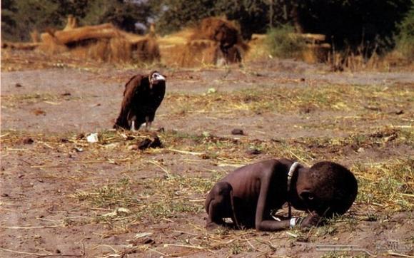 giải thưởng Pulitzer,Kevin Carter,bức ảnh Kền kền chờ đợi