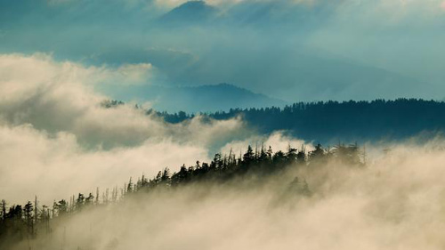 Núi Great Smoky,du lịch Mỹ