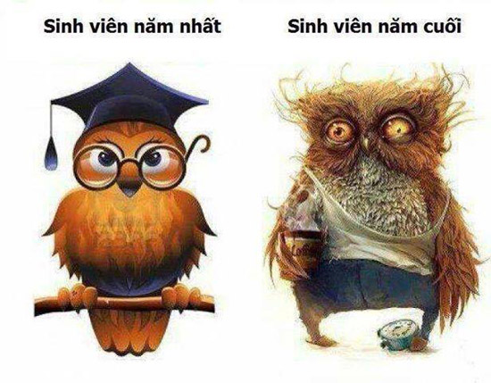 ảnh vui,ảnh chế,hài hước,ảnh tếu,ảnh hài hước