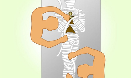 Lời nguyền của Pharaoh, pharaoh, lăng mộ pharaoh