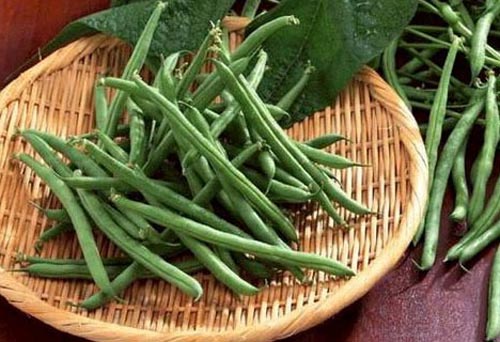 Mật ong,thạch,gan động vật,lòng trắng trứng,cá thu,cá ngừ,sức khỏe