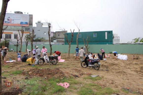  bão Haiyan,chống bão,cơn bão,bão