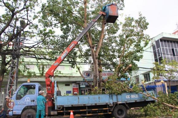  bão Haiyan,chống bão,cơn bão,bão