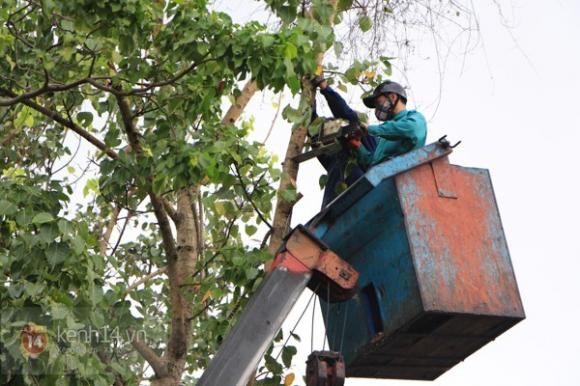  bão Haiyan,chống bão,cơn bão,bão