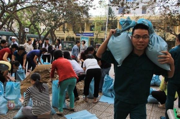  bão Haiyan,chống bão,cơn bão,bão