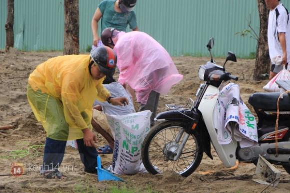  bão Haiyan,chống bão,cơn bão,bão