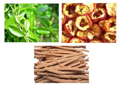 chăm sóc sức khỏe,tim mạch,nam dược,tây y,mỡ máu cao,mỡ máu