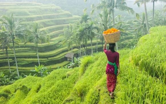 Điểm du lịch độc đáo,điểm du lịch cho người thất tình,mối tình buồn,Indonesia,điểm đến