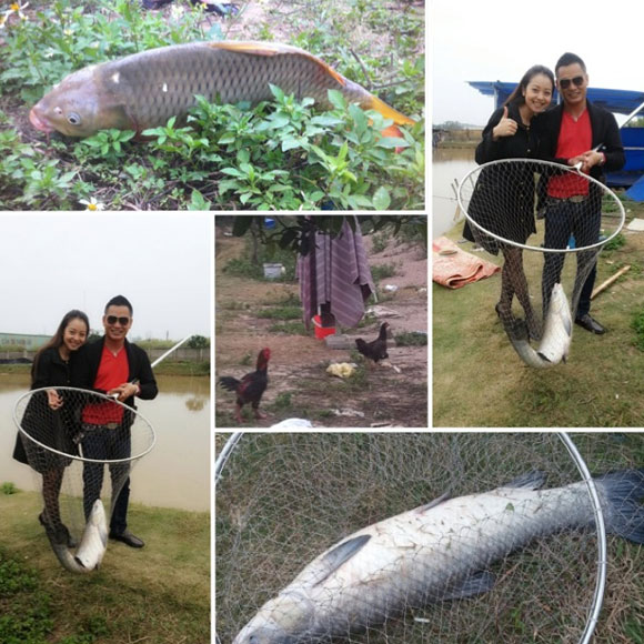 Hồ Ngọc Hà,Cường đô La,Jennifer Phạm,Đan Lê,Trương Ngọc Ánh,Trần Bảo Sơn