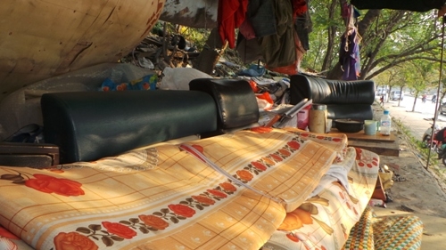 Sống trên cây,Gia đình sống trên cây ở hà nội,Sống như thời nguyên thủy