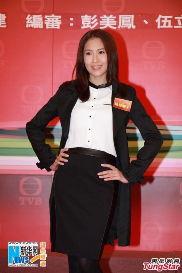 phim hay,phim 2014,TVB,dự án truyền hình hấp dẫn cho năm 2014