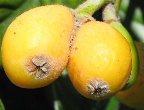 ảnh vui,ảnh chế,hài hước,ảnh tếu,ảnh hài hước