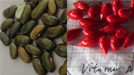 Bác sĩ,Bệnh nhân,Phát nhầm thuốc cho bệnh nhân