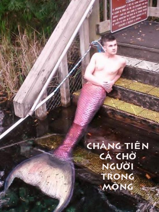 ảnh vui,ảnh cười,thư giãn,hài hước,ảnh tếu,ảnh hài hước