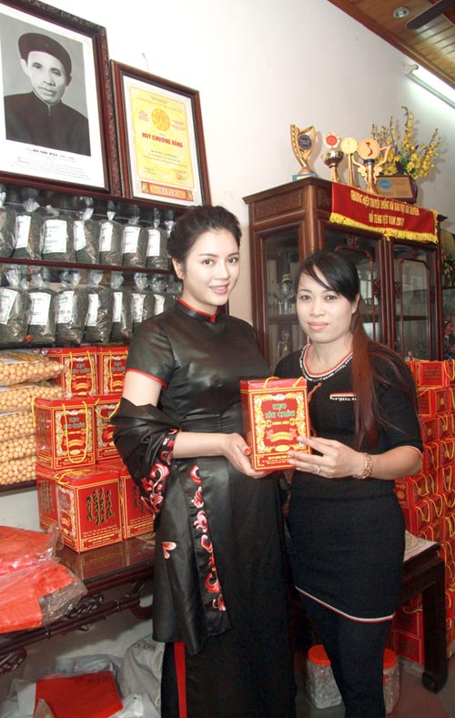 Lý nhã kỳ,Đại sứ Du lịch Việt Nam 2012