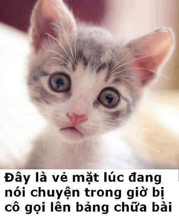 Chết cười với ảnh chế học đường