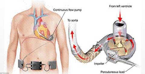 Chuyện lạ 4 phương,chuyện lạ thế giới,phi thường,dị nhân