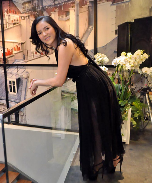 Lý nhã kỳ 2013,Đại sứ Du lịch Việt Nam 2012,Diễn viên Lý nhã kỳ