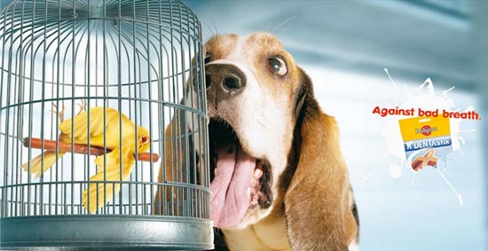 ảnh vui,ảnh quảng cáo hài hước,thư giãn,hài hước,ảnh tếu,ảnh hài hước