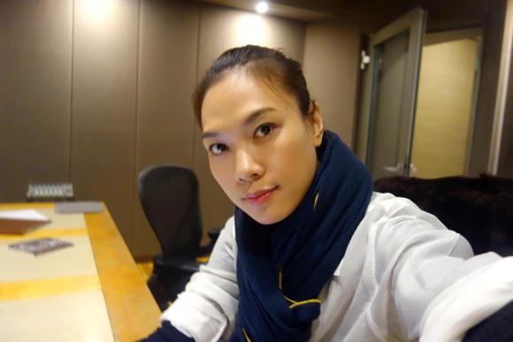 Mỹ tâm 2013,ca sỹ Mỹ Tâm,Họa mi tóc nâu,album vol 8 Tâm