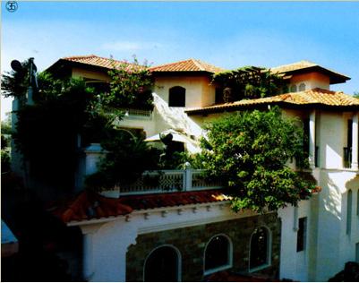 Đại gia việt,Đại gia chơi trội,thú vui của đại gia,lâu đài Châu Âu của đại gia việt