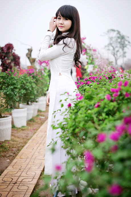 Nữ sinh Phạm Hồng Thái,Á quân Duyên dáng Hà thành,Nguyễn Lan Chi