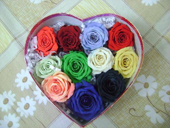Quốc Tế Phụ Nữ,Quà Tặng,Quà Tặng Bạn Gái