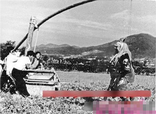 Tây Du Ký,Lục Tiểu Linh Đồng,Từ Thiếu Hoa,Mã Đức Hoa,Diêm Hoài Lễ,đạo diễn dương khiết