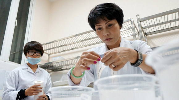 Trại nuôi muỗi,Nuôi muỗi,Cho muỗi uống máu
