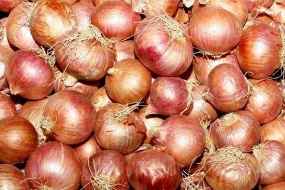 Chuyện lạ 4 phương,chuyện lạ thế giới,phi thường,Cách thử thai kỳ lạ