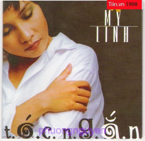   Mỹ Linh,Hành trình nhan sắc   Mỹ Linh,  Mỹ Linh lột xác