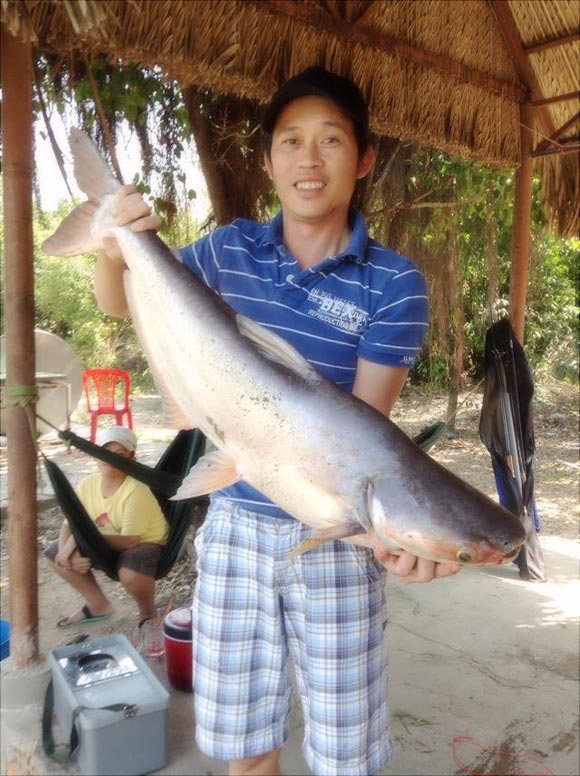 Hoài Linh,Phương Thanh,Quyền Linh,Mỹ Linh