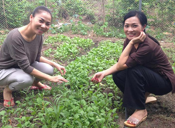 Hoài Linh,Phương Thanh,Quyền Linh,Mỹ Linh