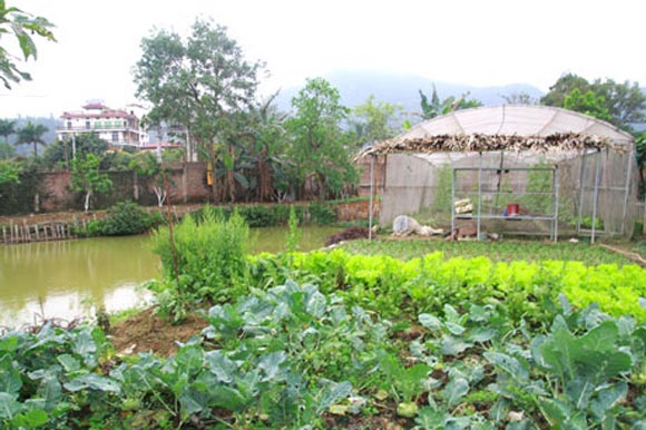 Hoài Linh,Phương Thanh,Quyền Linh,Mỹ Linh